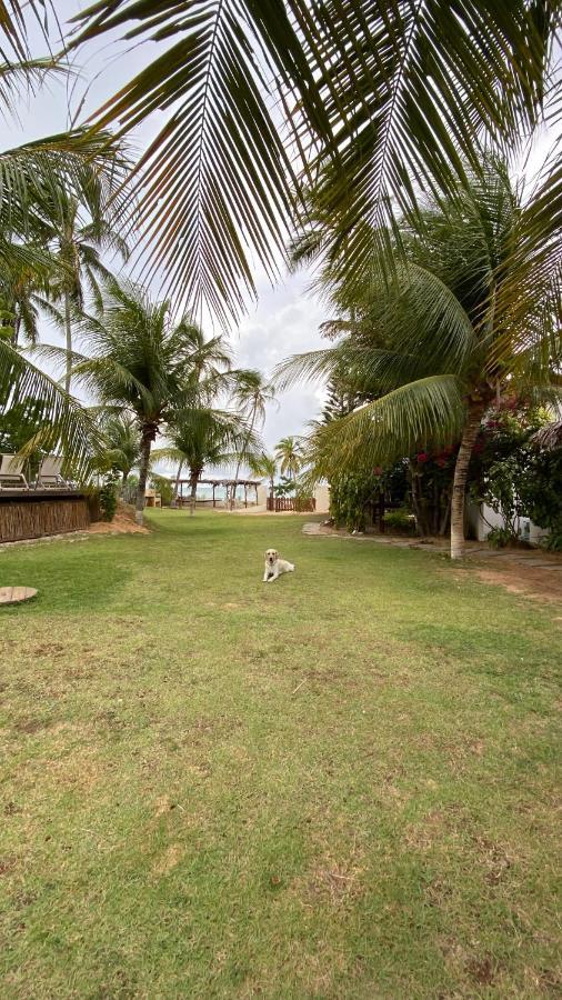 Maui Icaraizinho Guest house *